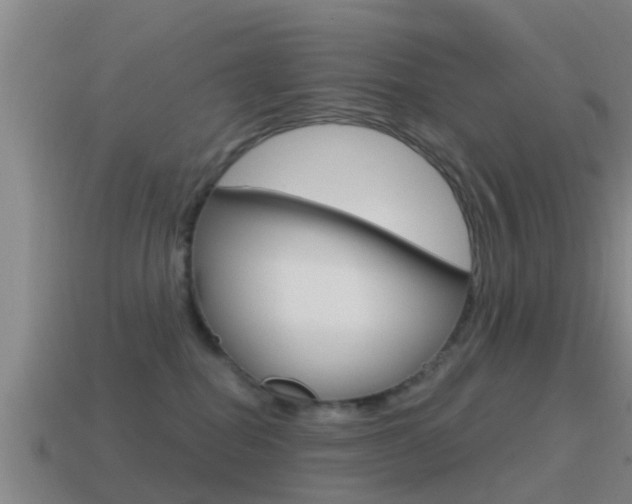 X0000115490282200911061008