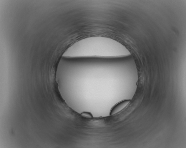 X0000115490283200911061008
