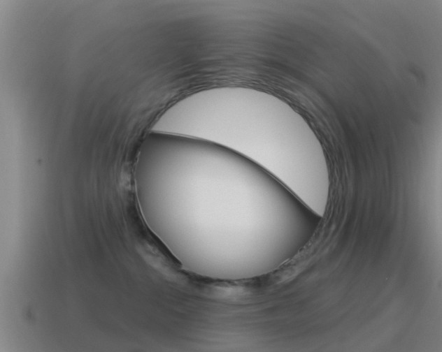 X0000115490284200911061008