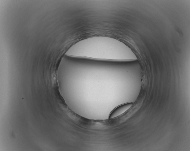 X0000115490285200911061008