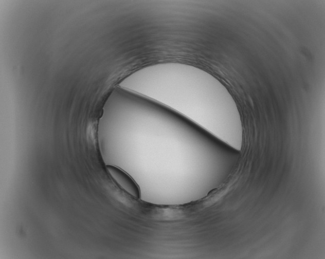 X0000115490286200911061008