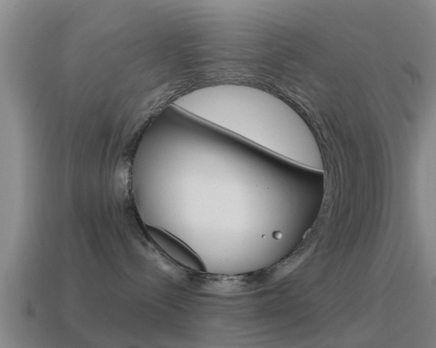 X0000115490288200911061008