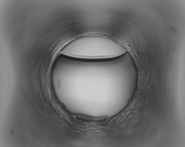 X0000115490289200911061007