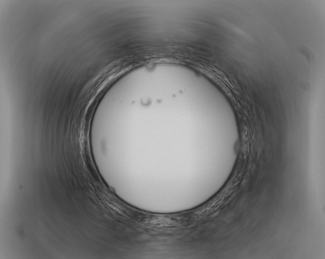 X0000115490290200911061007