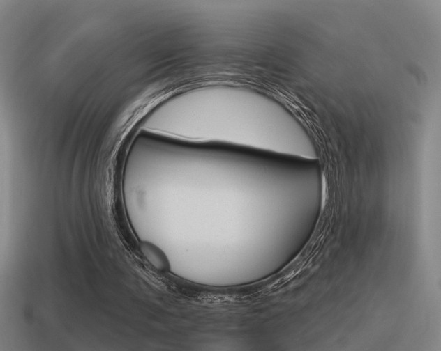 X0000115490291200911061007