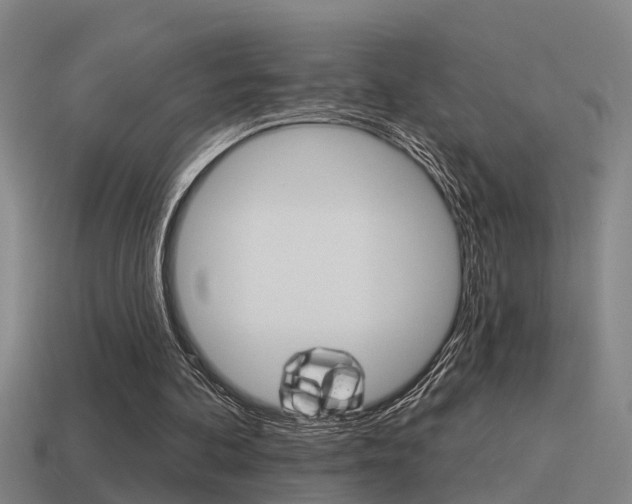 X0000115490292200911061007