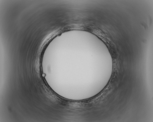 X0000115490293200911061007