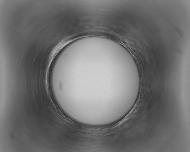 X0000115490294200911061007