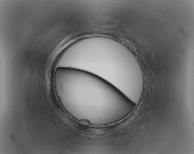 X0000115490295200911061007