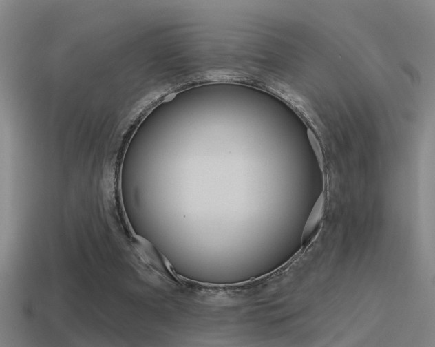 X0000115490297200911061007