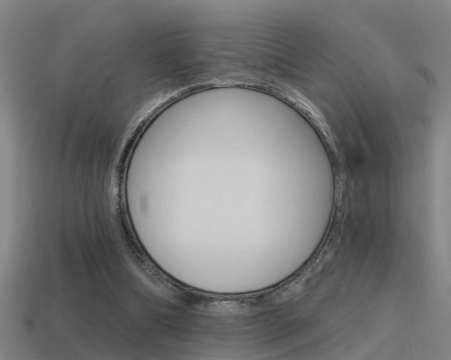 X0000115490298200911061007