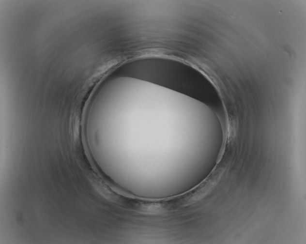 X0000115490301200911061007