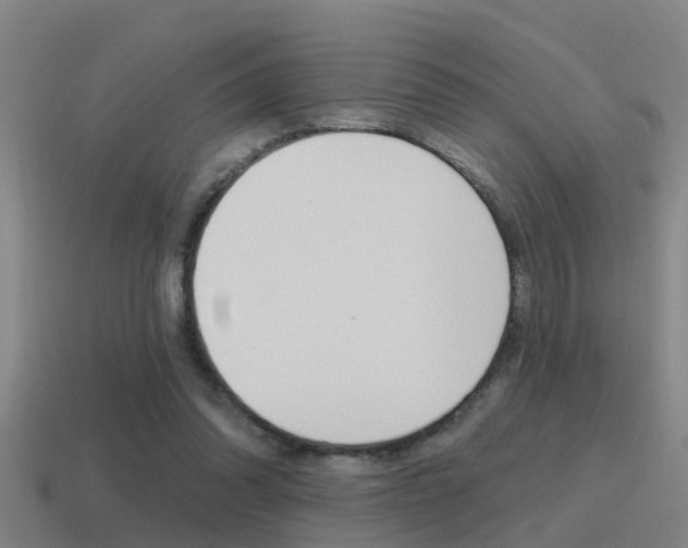 X0000115490302200911061007