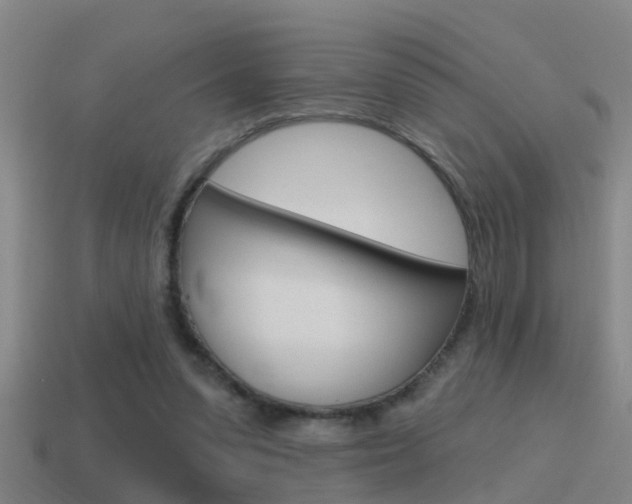 X0000115490303200911061007
