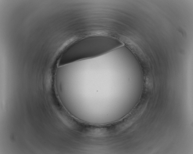 X0000115490304200911061007