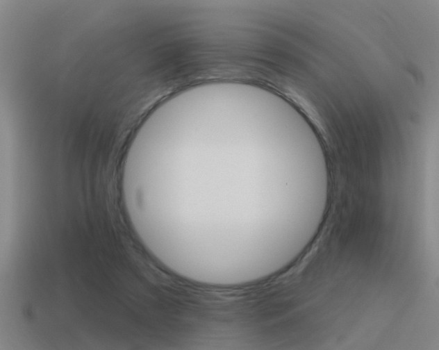 X0000115490305200911061007