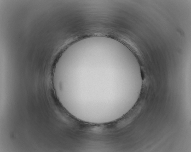 X0000115490306200911061007