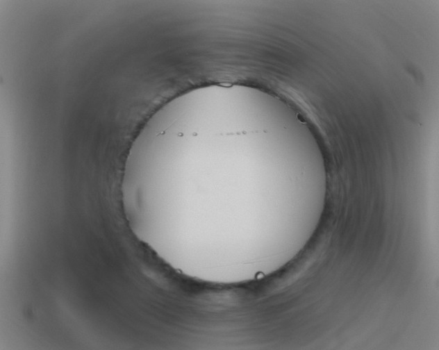 X0000115490307200911061007