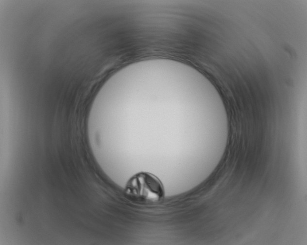 X0000115490308200911061007