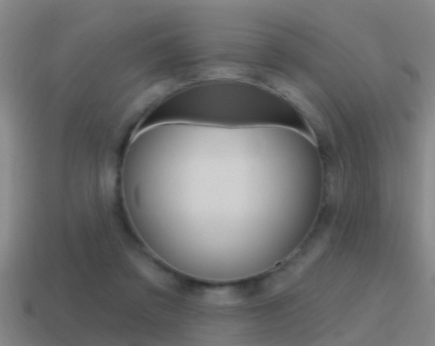 X0000115490309200911061007