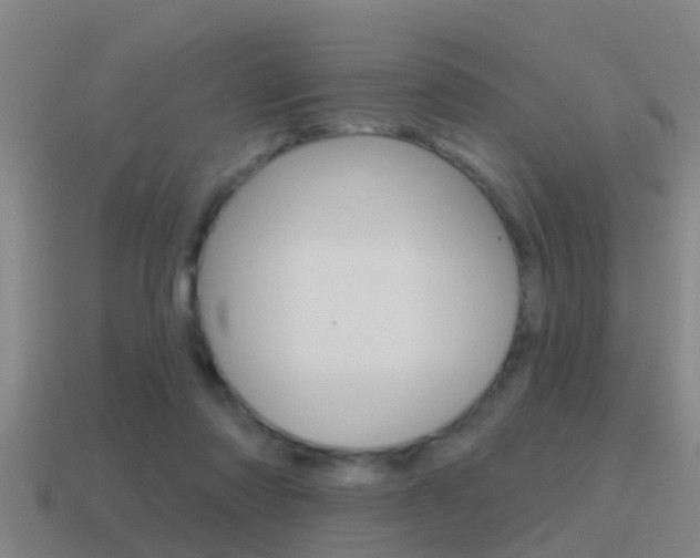 X0000115490310200911061007