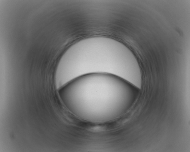 X0000115490312200911061007