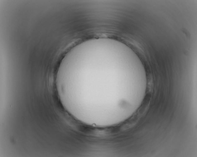 X0000115490314200911061007