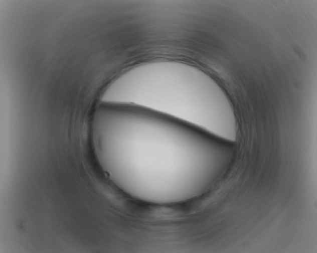 X0000115490315200911061007