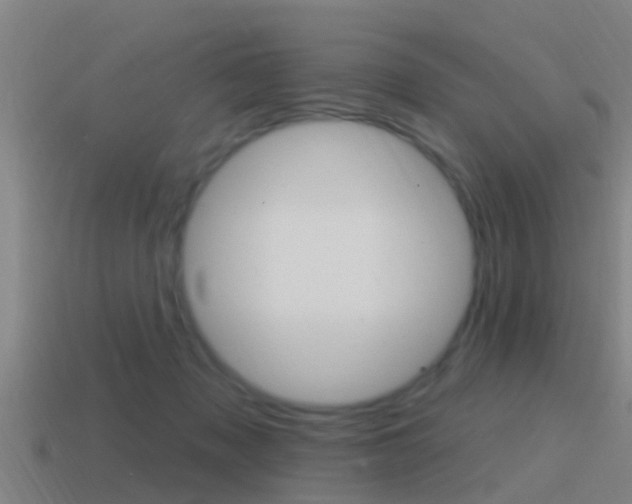 X0000115490317200911061007