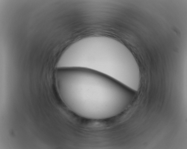 X0000115490319200911061007