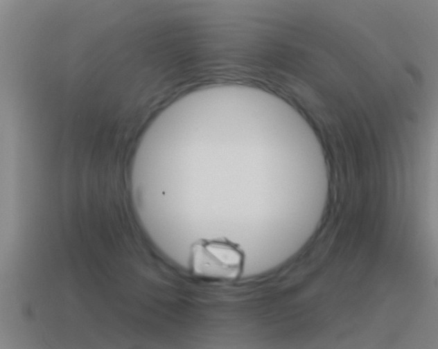 X0000115490320200911061007
