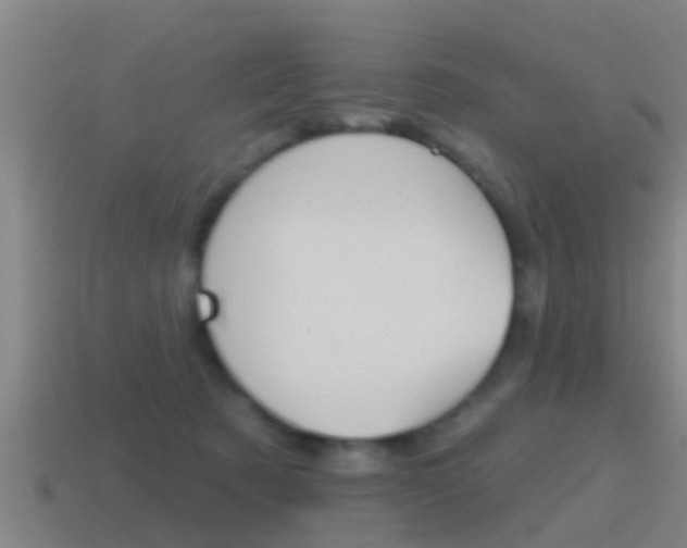 X0000115490321200911061007