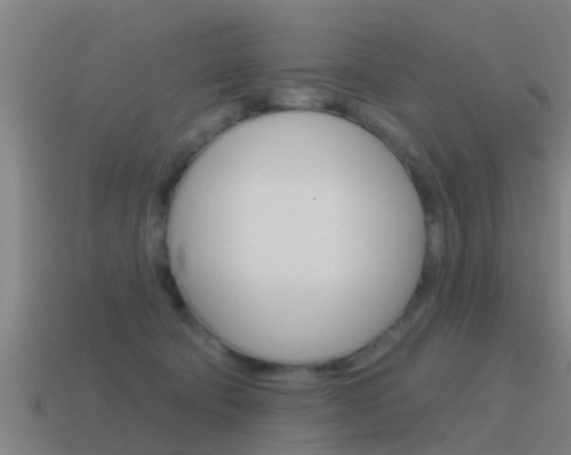X0000115490322200911061007