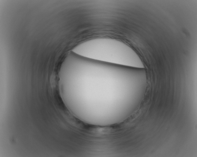 X0000115490323200911061007