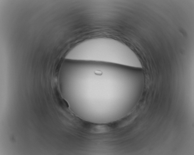 X0000115490324200911061007