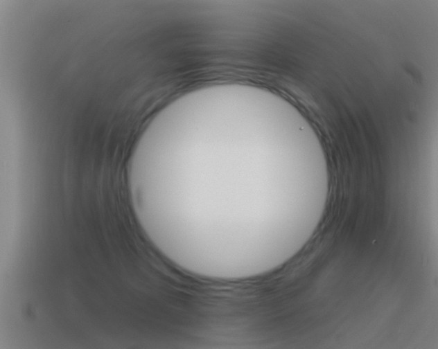 X0000115490325200911061007