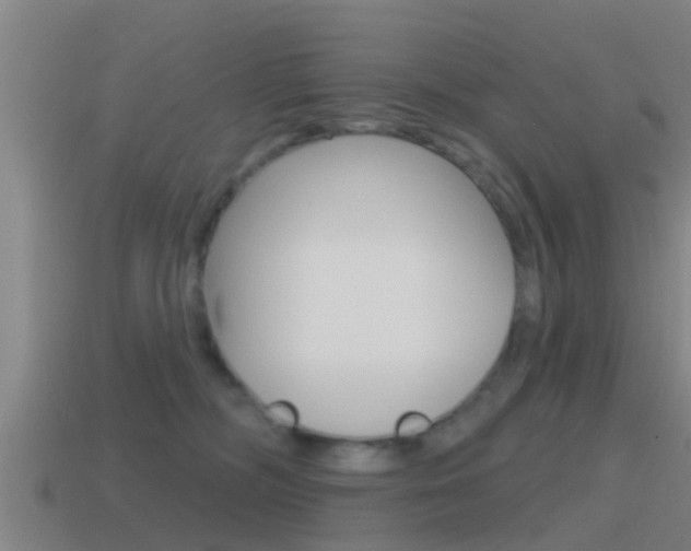 X0000115490326200911061007