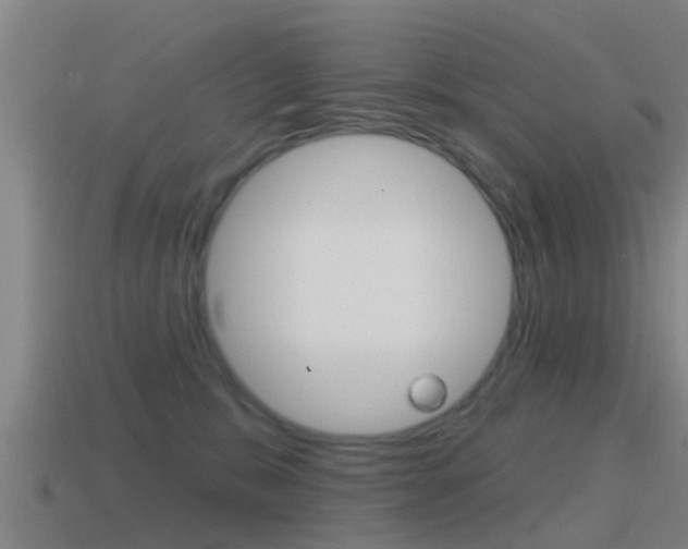 X0000115490327200911061007