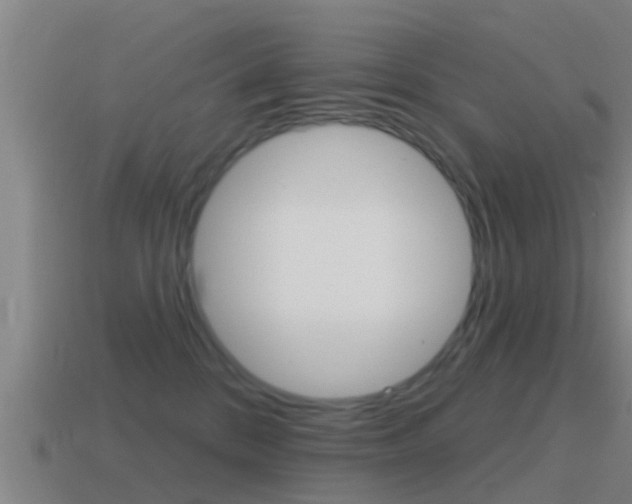 X0000115490328200911061007