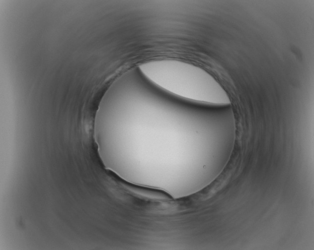X0000115490329200911061007