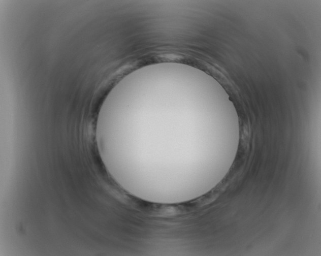 X0000115490330200911061007
