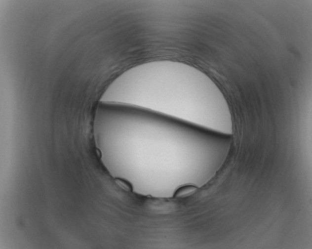 X0000115490331200911061007