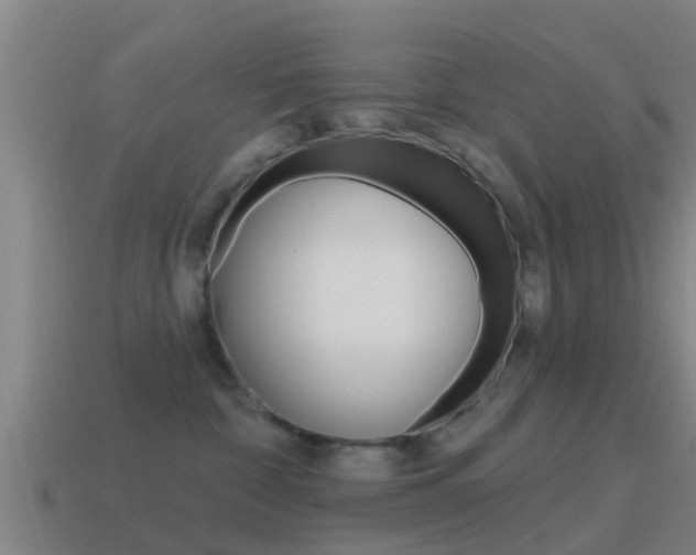 X0000115490332200911061007