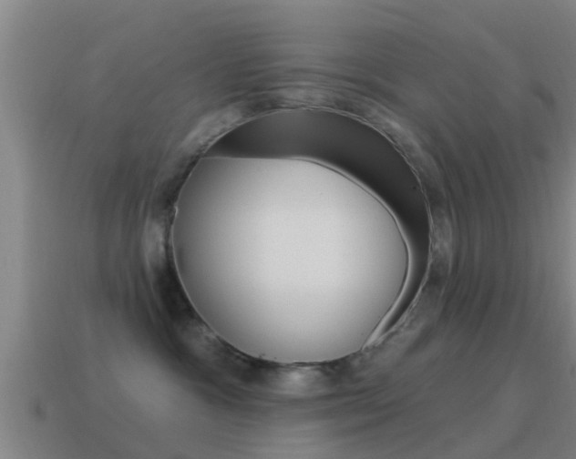 X0000115490333200911061007