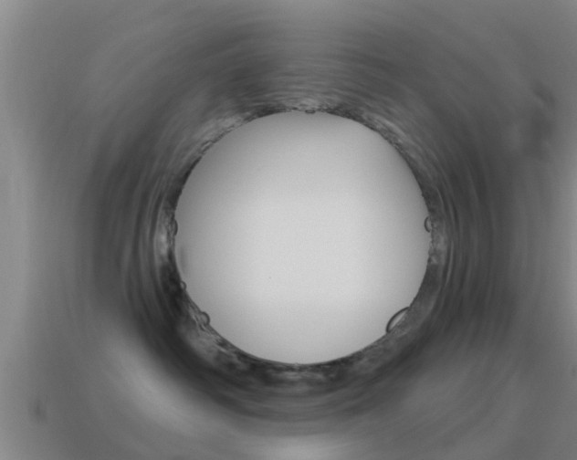 X0000115490334200911061007