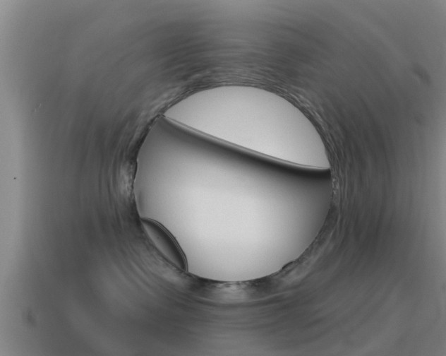 X0000115490335200911061007