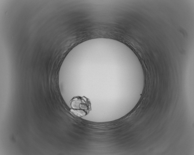 X0000115490336200911061007