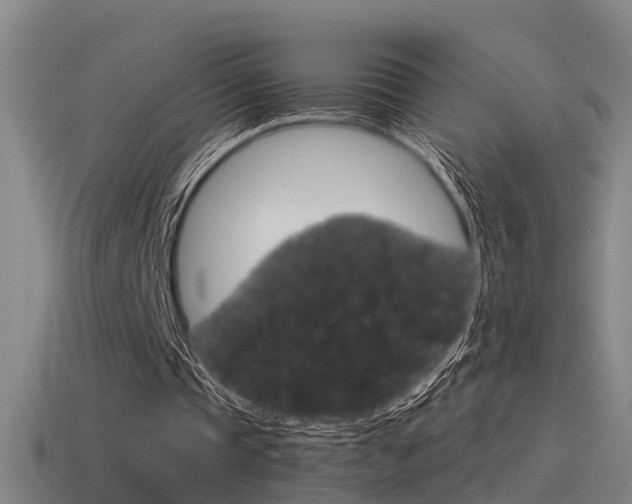 X0000115490337200911061006