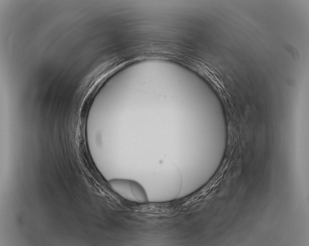 X0000115490338200911061006