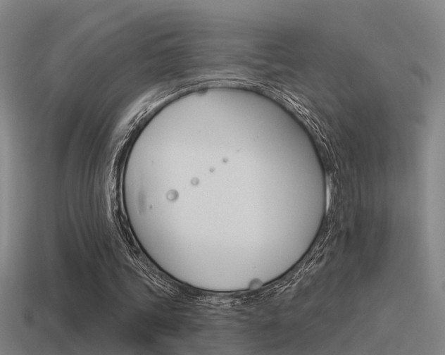 X0000115490339200911061006